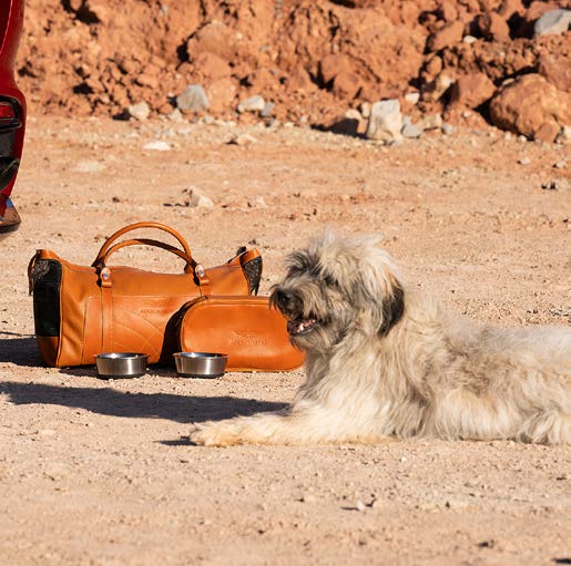 Aston Martin DBX DOG ACCESSORY HOLDER (TAN)