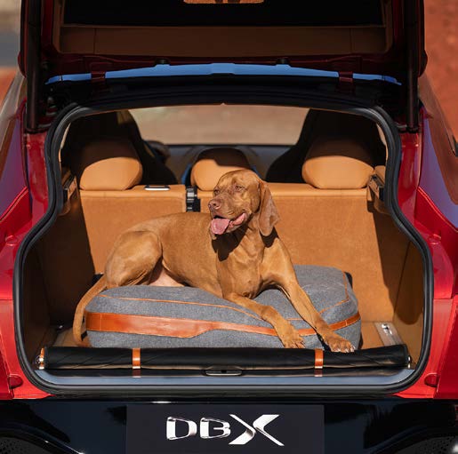 Aston Martin DBX DOG BED (TAN)