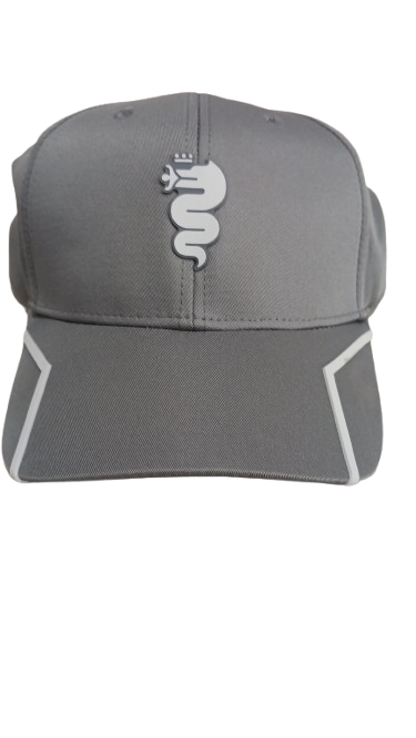 Alfa Romeo Biscione Cap Gray